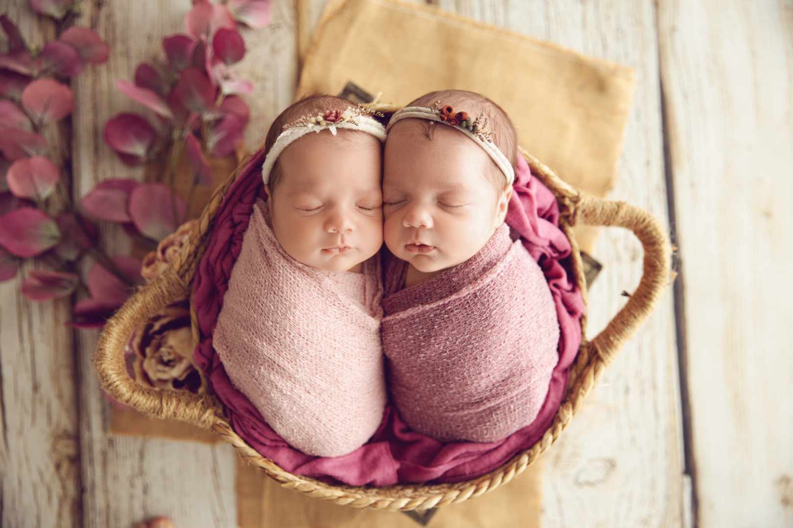 Newborn Photography Brisbane