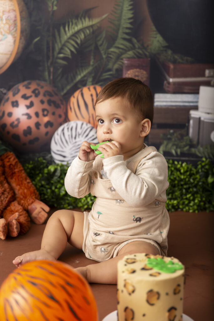 Cake smash photo