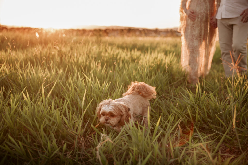 Maternity Photo