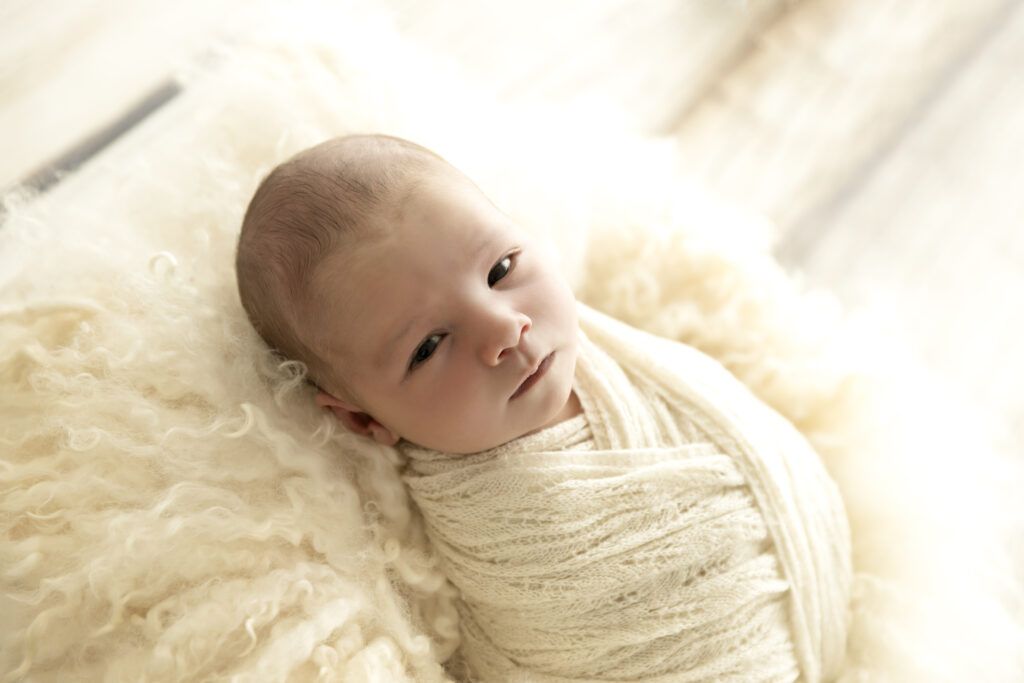 Newborn Photographer