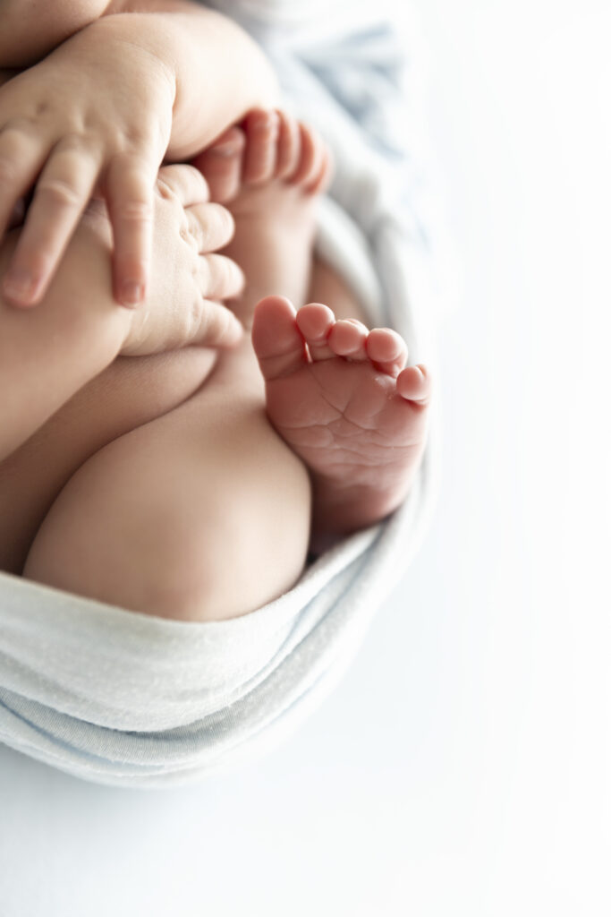 Newborn Photographer