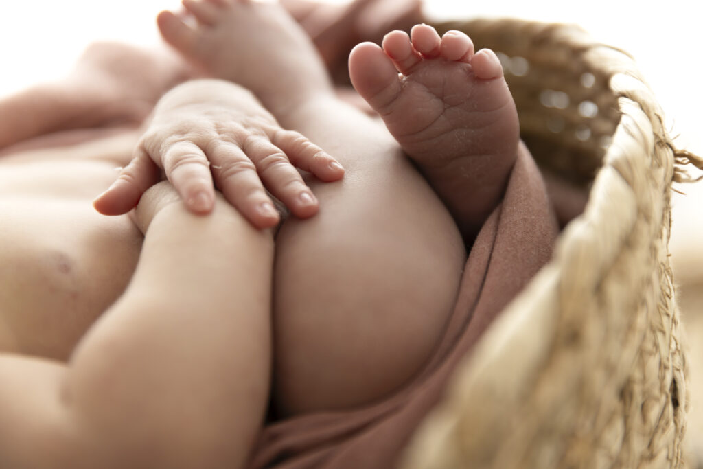Newborn Photographer