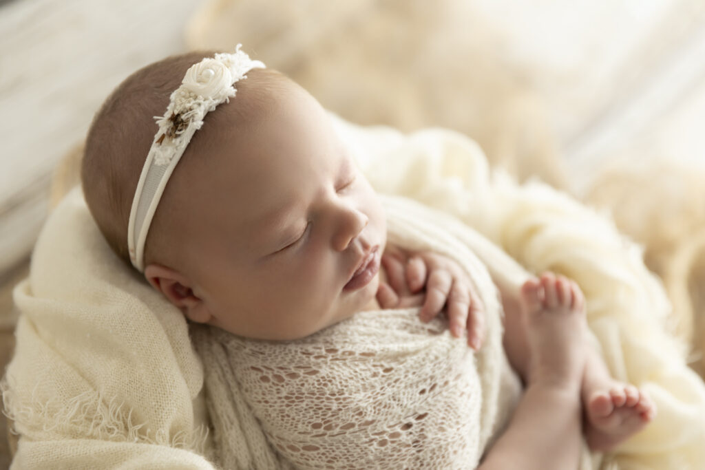 Newborn Photographer