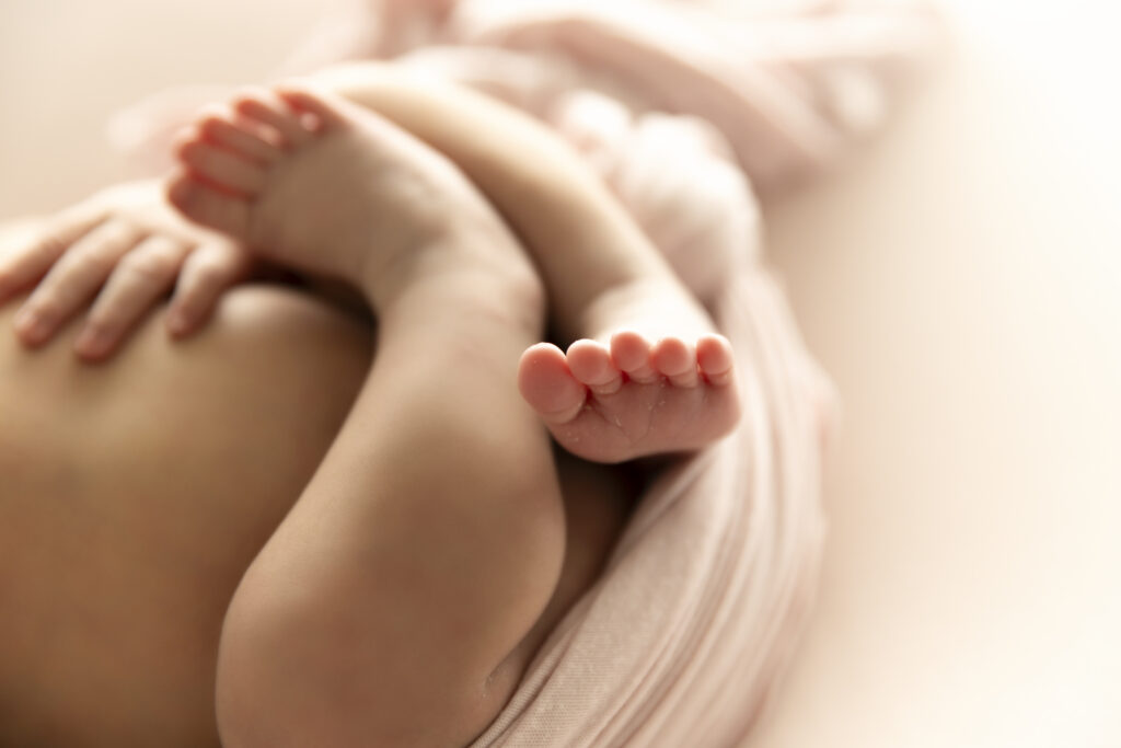 Newborn Photographer