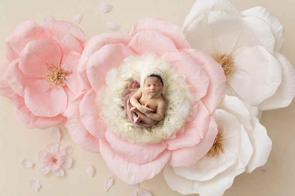 Newborn Photographer