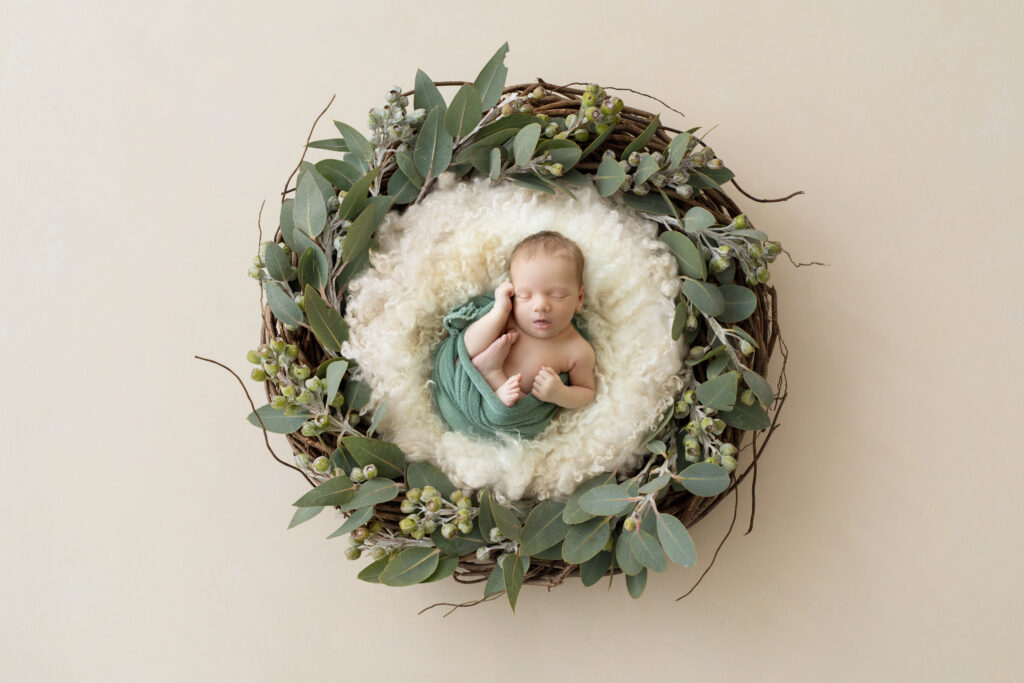 Newborn Photo