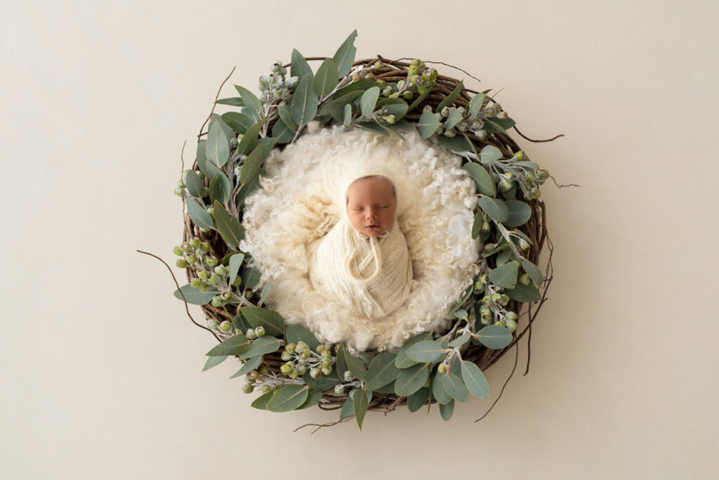 Newborn Photography