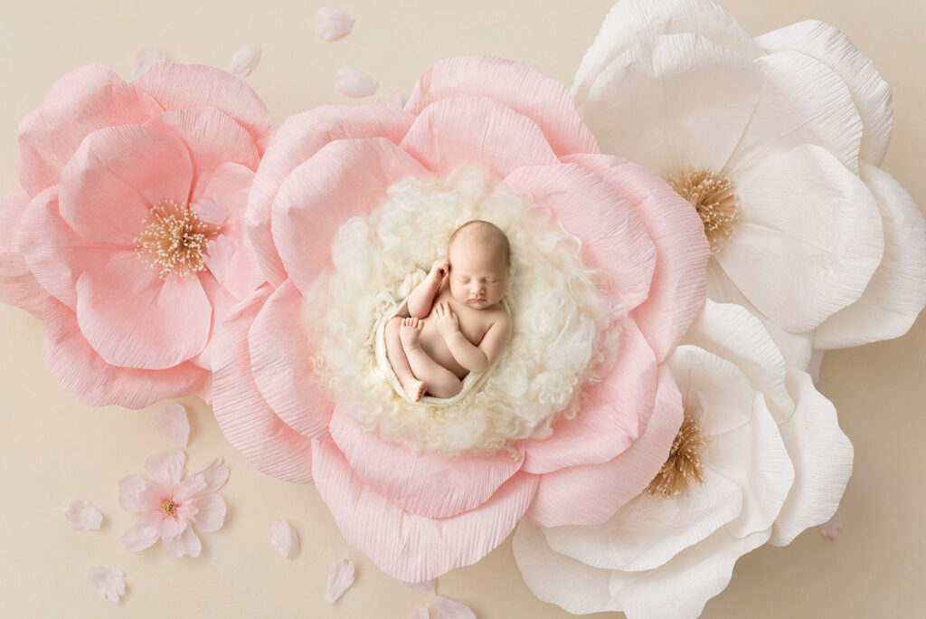 newborn photographer