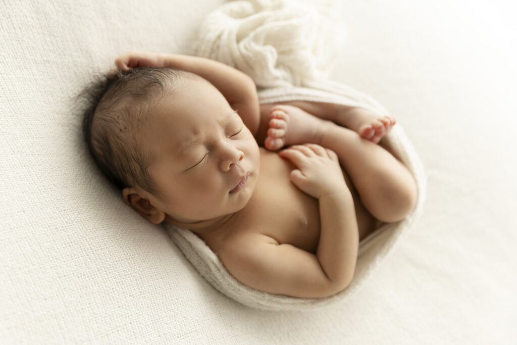 Newborn Photographer Brisbane