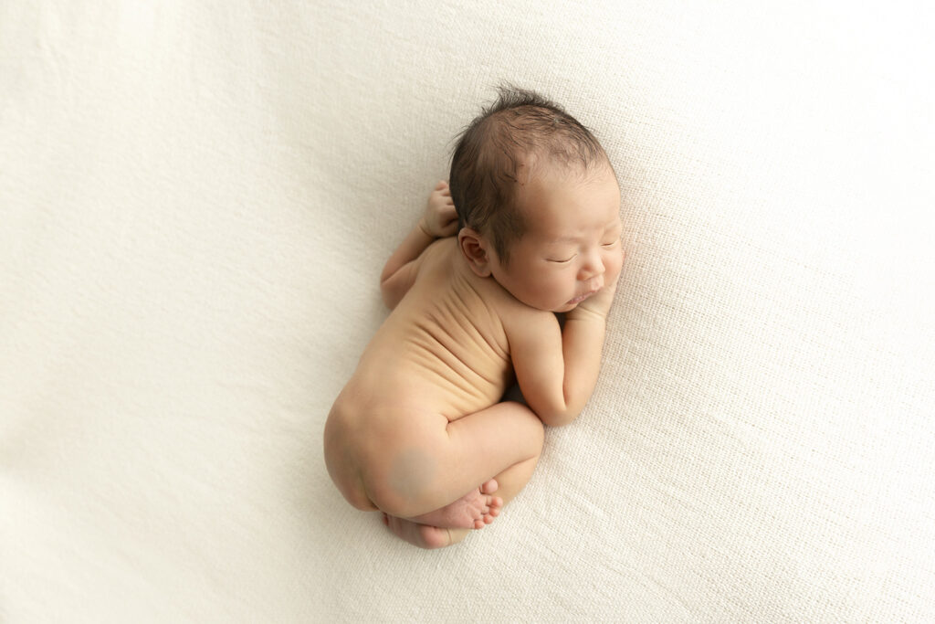 Newborn Photographer Brisbane