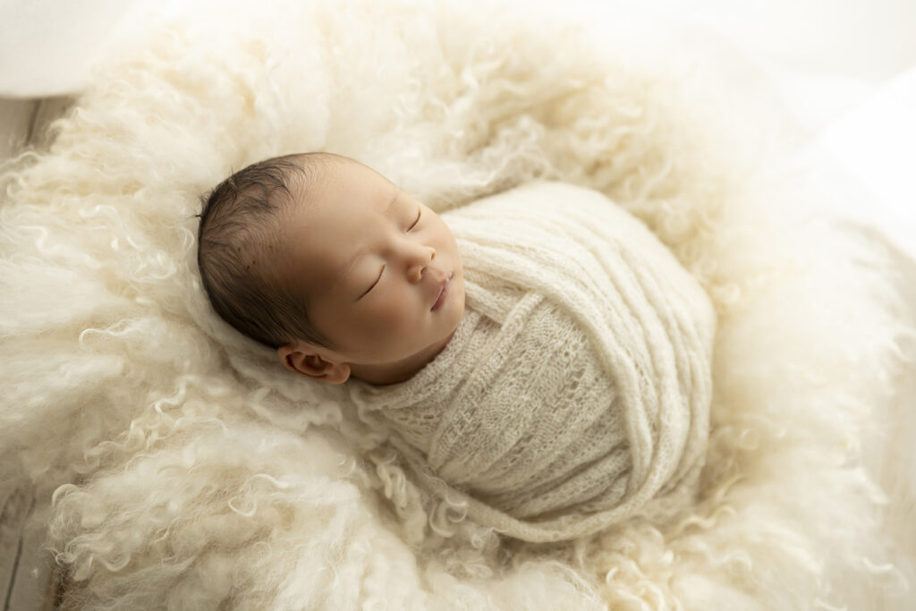 Newborn Photographer Brisbane