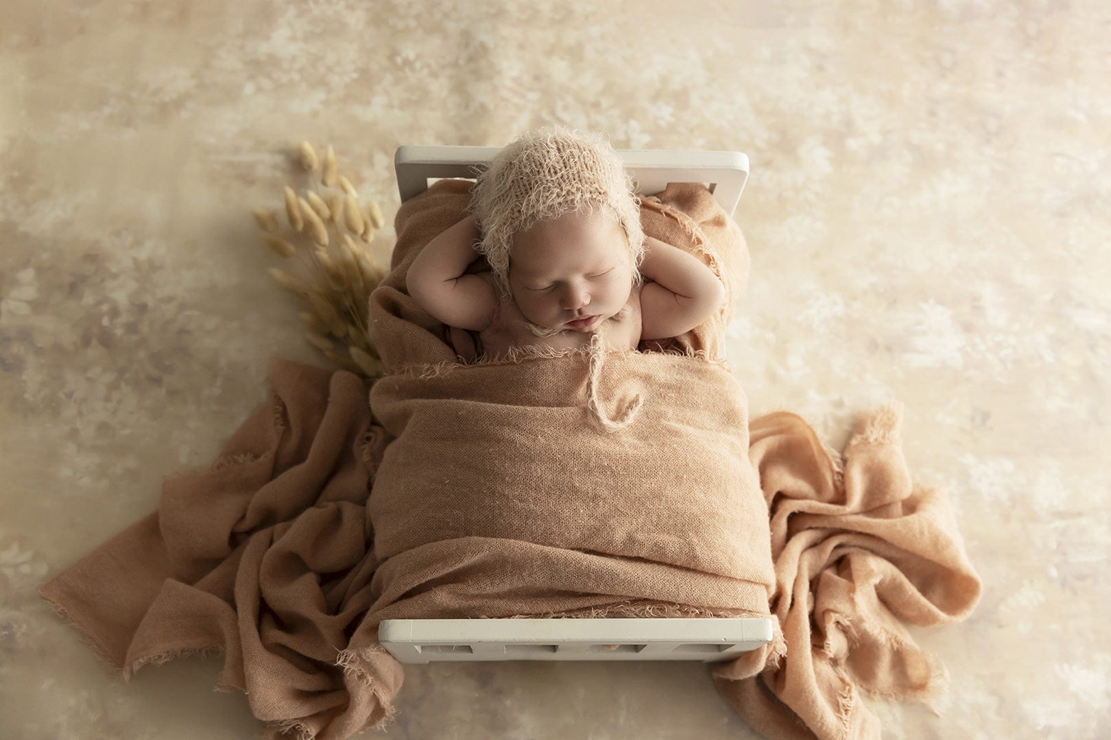 Newborn Photographer