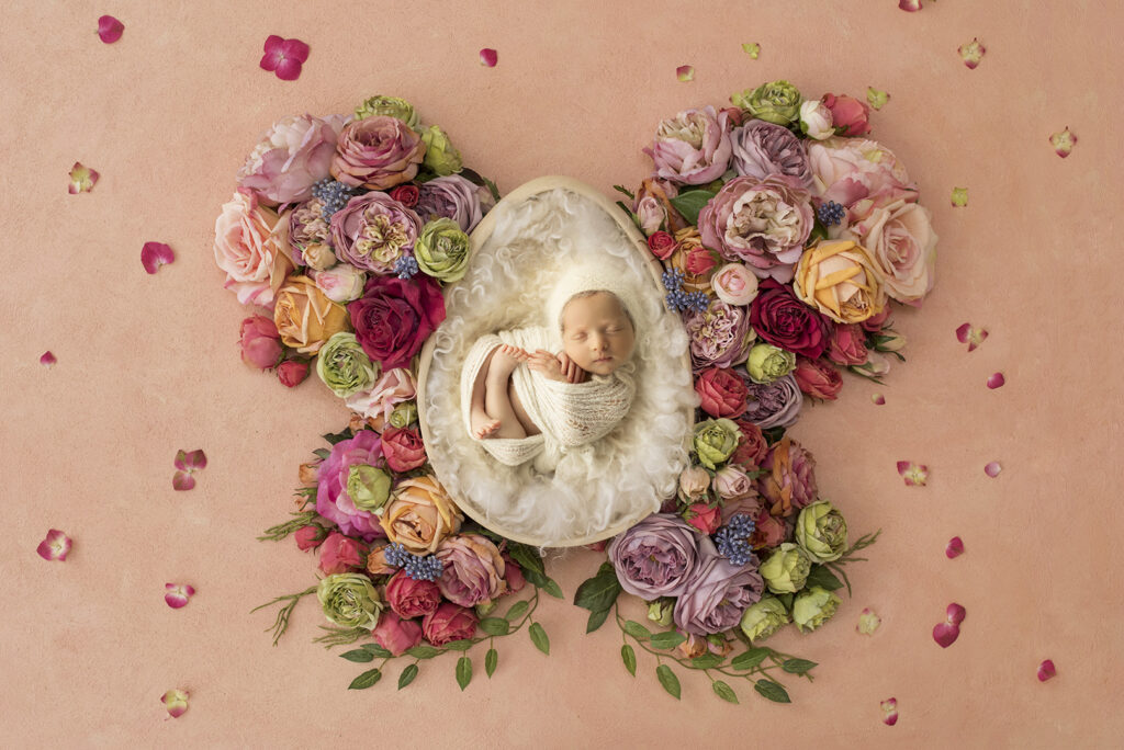 Newborn Photographer Brisbane