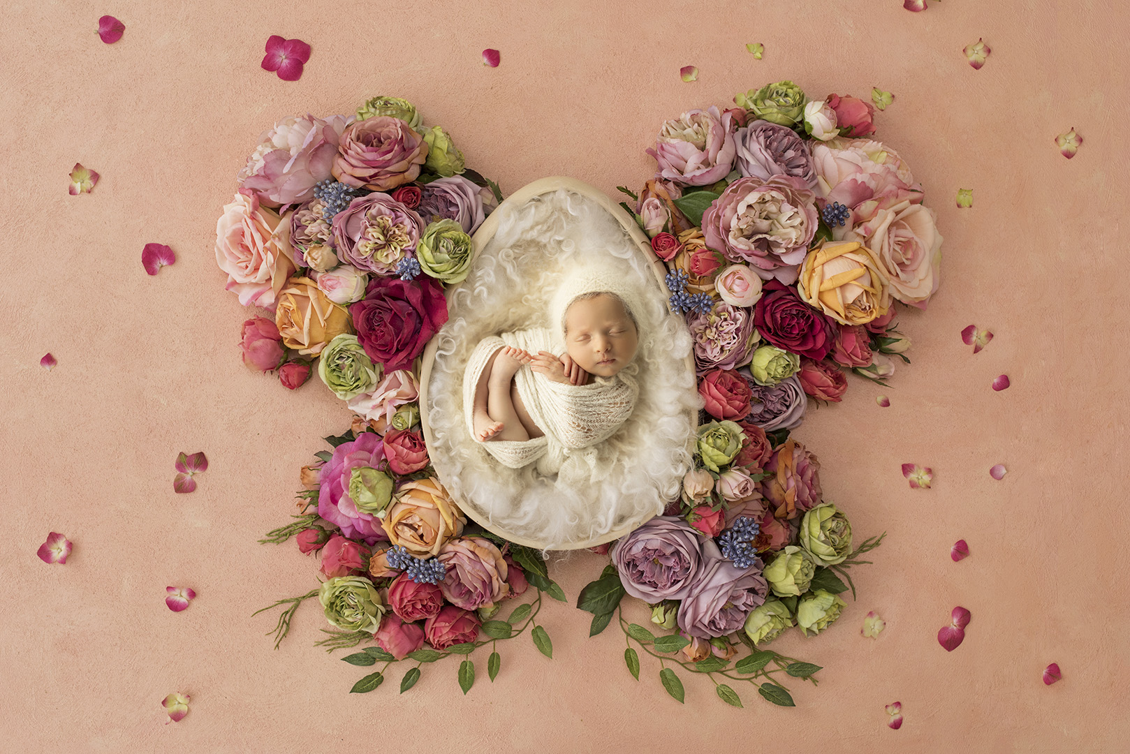 Newborn Photographer Brisbane