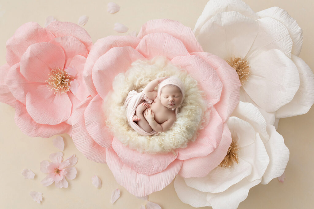 Newborn Photography