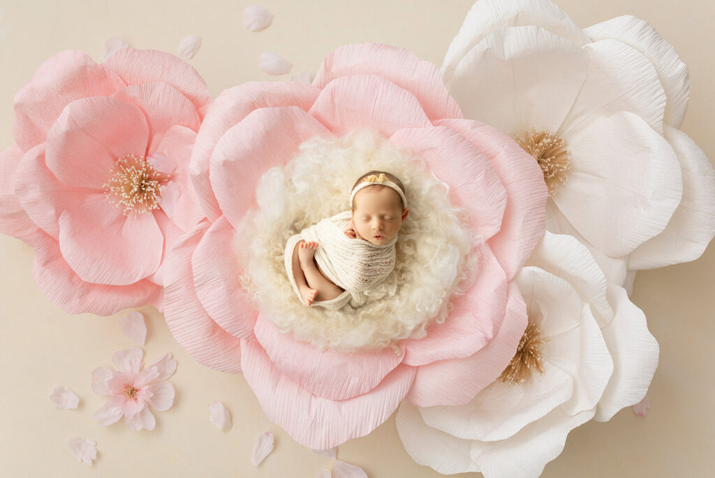 Newborn Photographer Brisbane