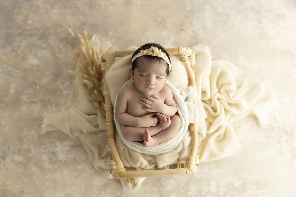 Newborn Studio Brisbane