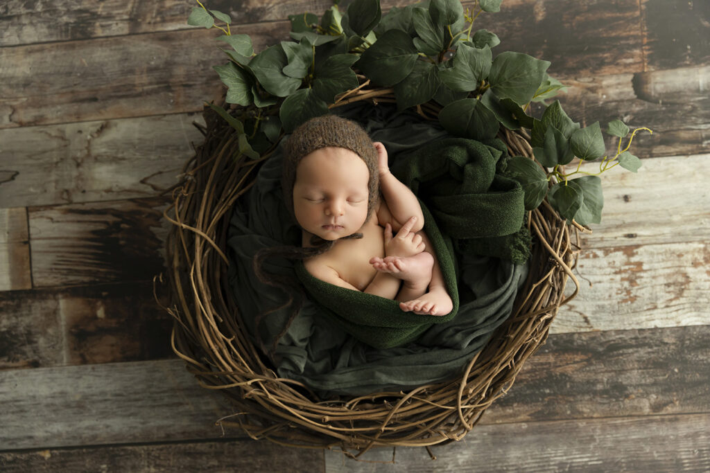 Newborn Photographer Brisbane