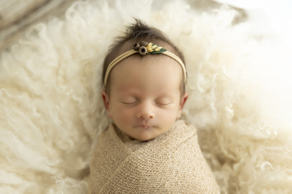 Newborn Photography