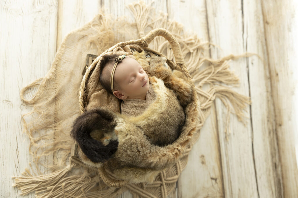 Newborn Photography
