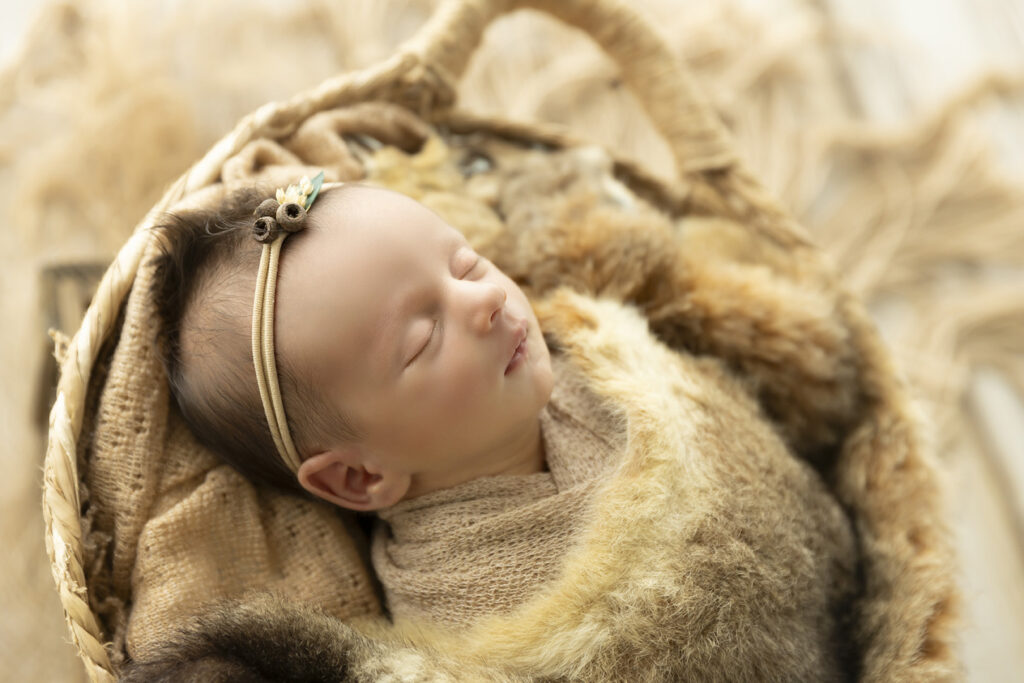 Newborn Photography