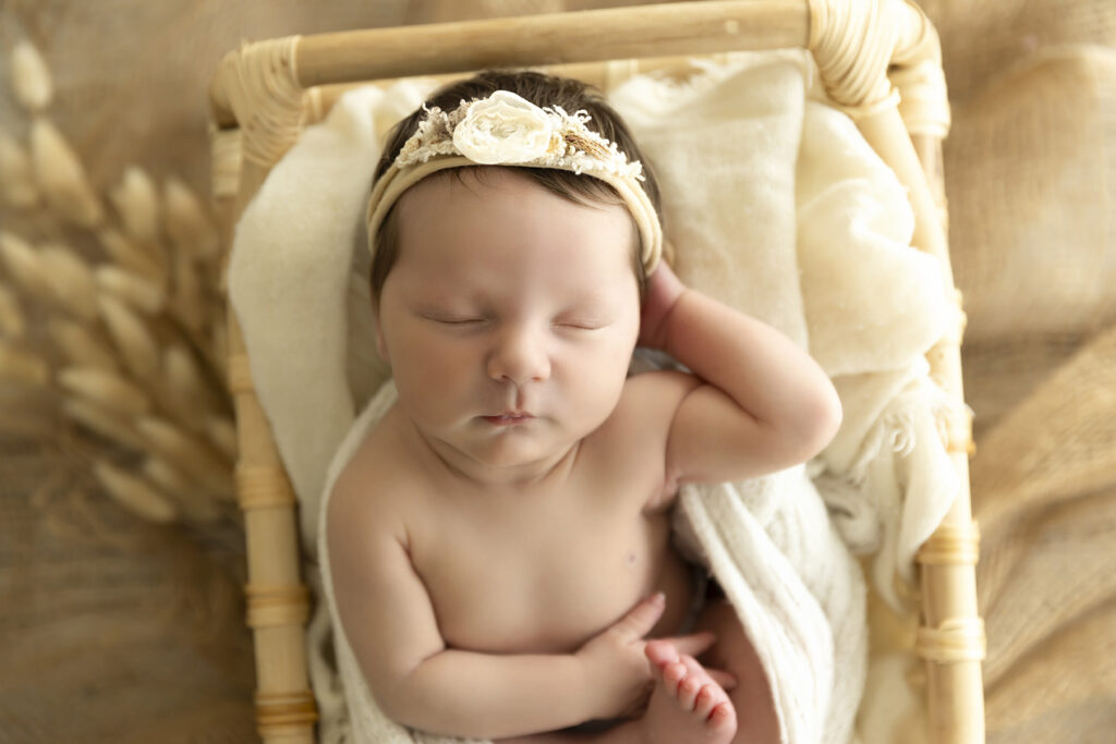 Newborn Photoshoot