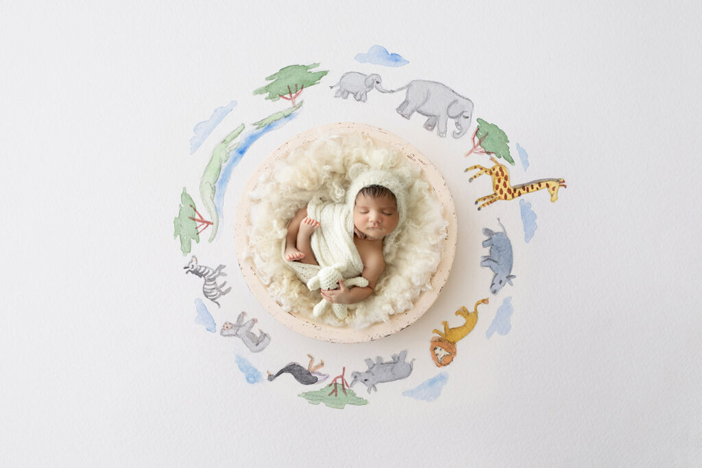 Newborn Photoshoot