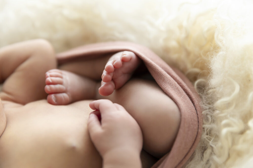 Newborn Photography
