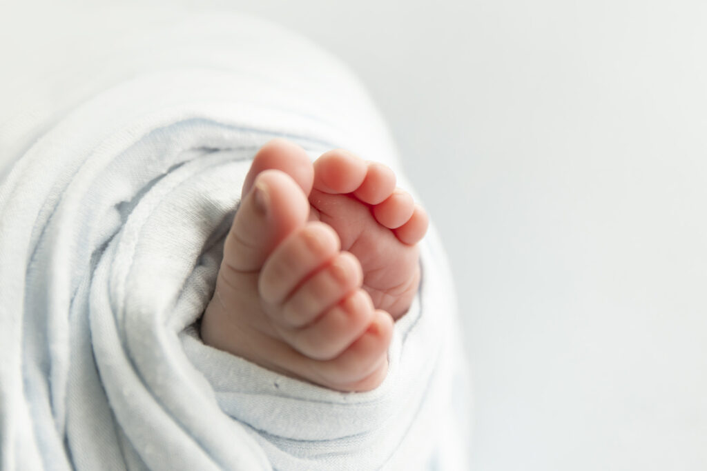 Newborn photographer