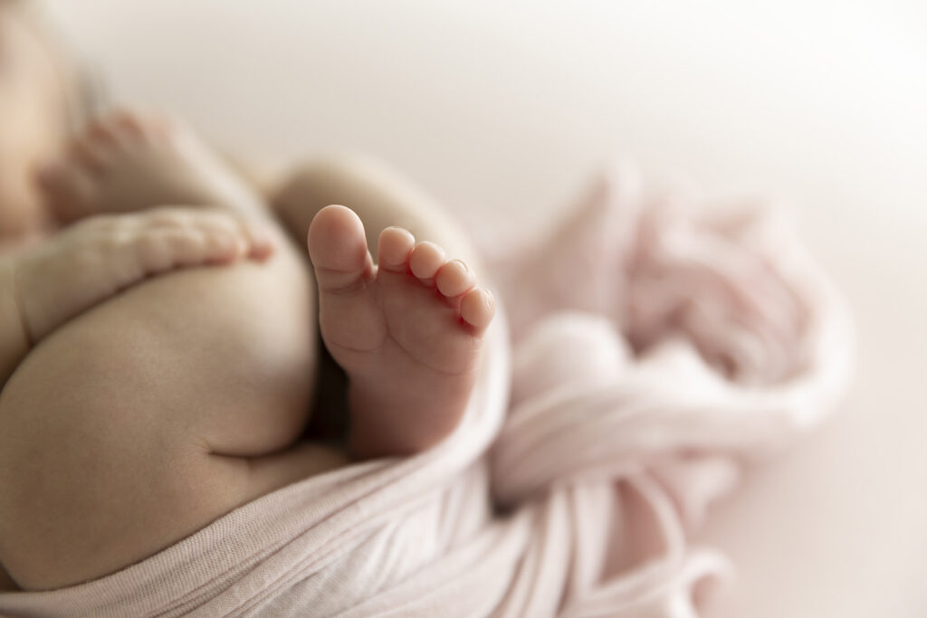 Newborn Photographer