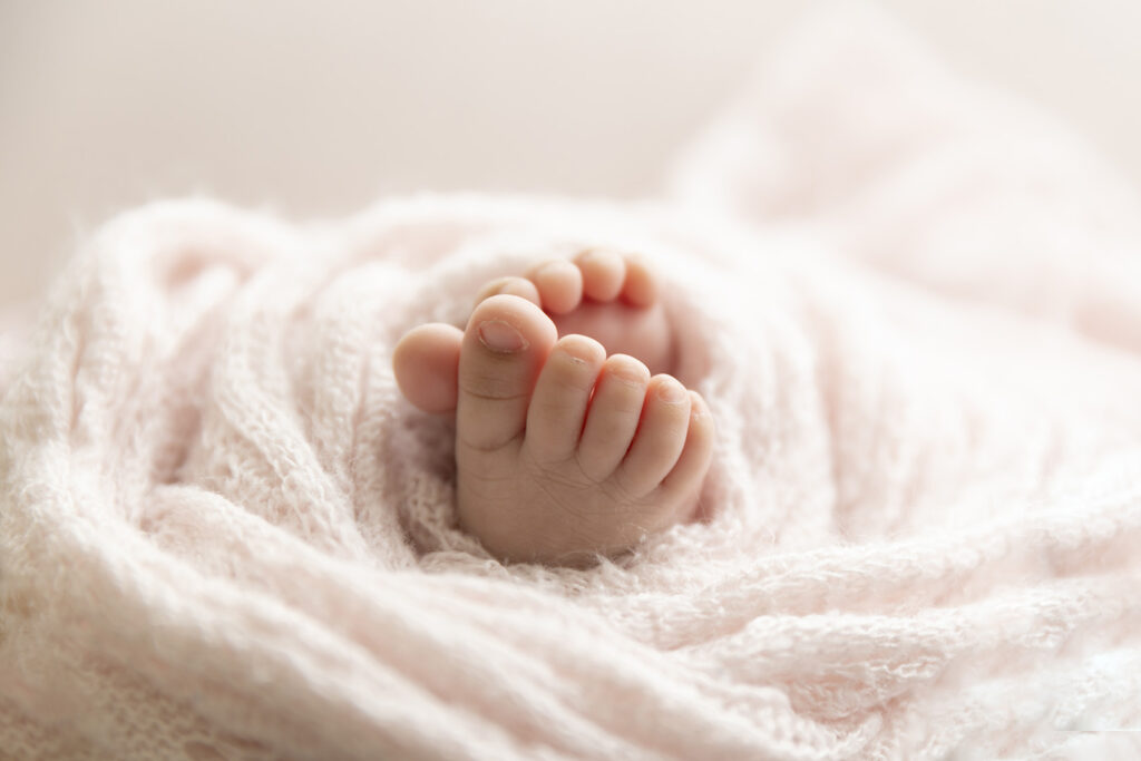 Newborn Photographer