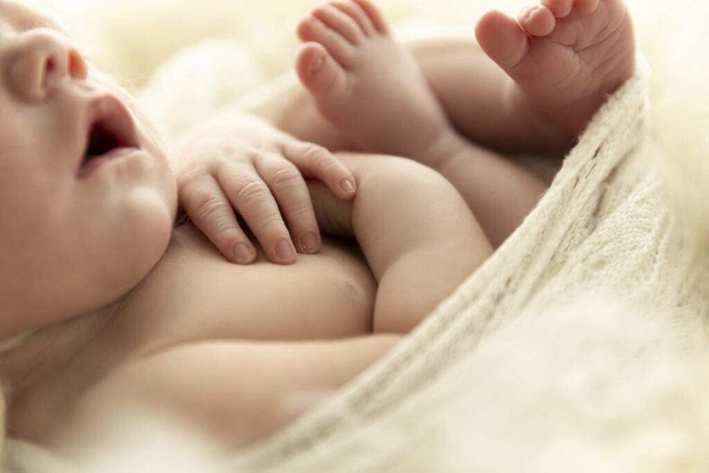 Newborn Photographer
