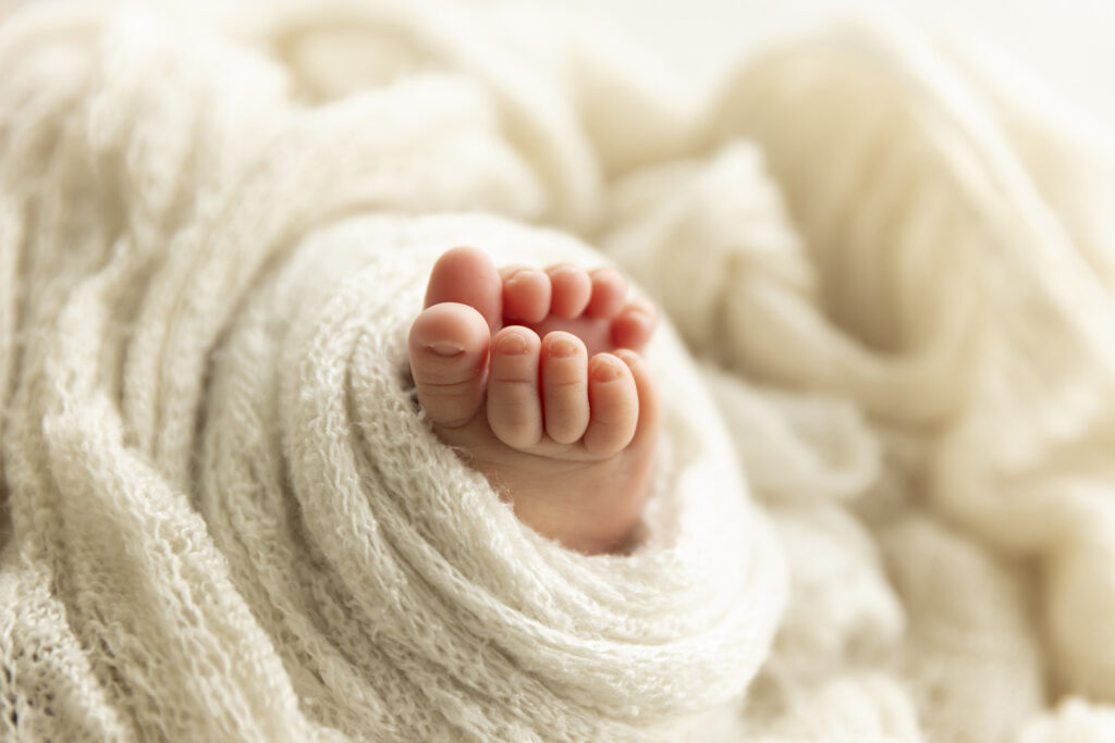 Newborn Photographer Brisbane