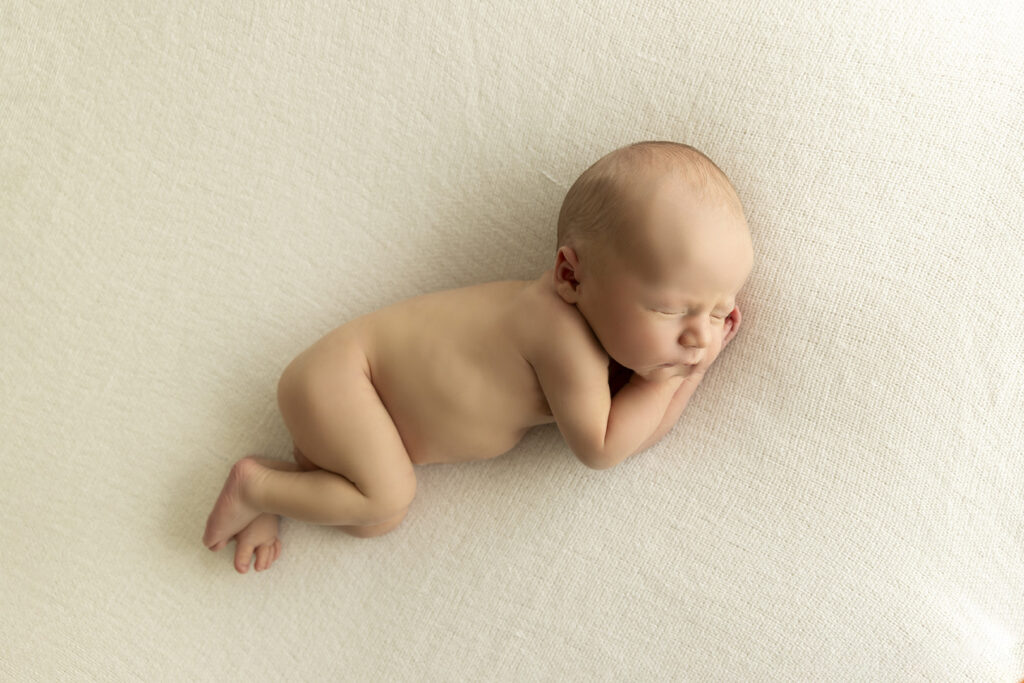 Newborn Photographer Brisbane