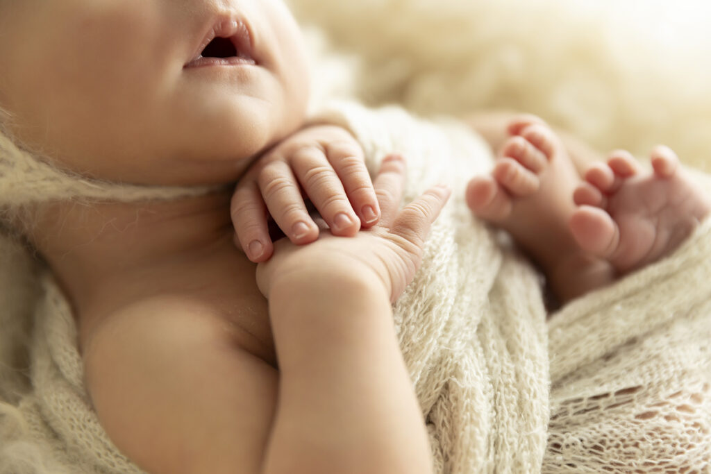 Newborn Photographer Brisbane