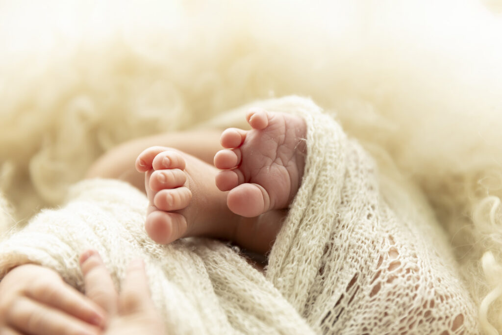 Newborn Photographer Brisbane