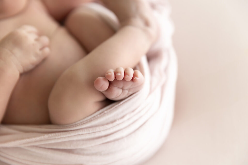 Newborn Photographer