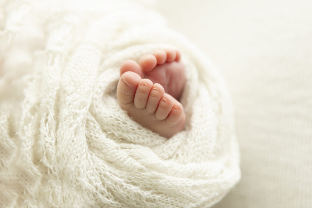 Baby photographer