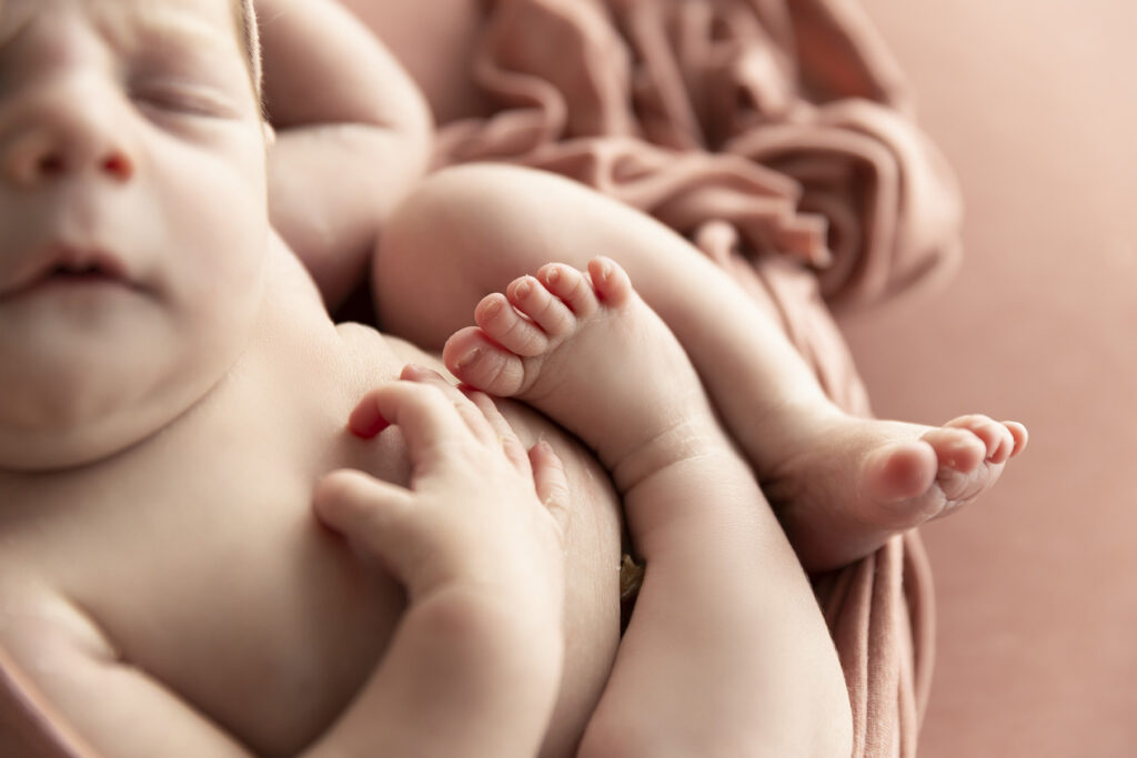 Newborn photographer