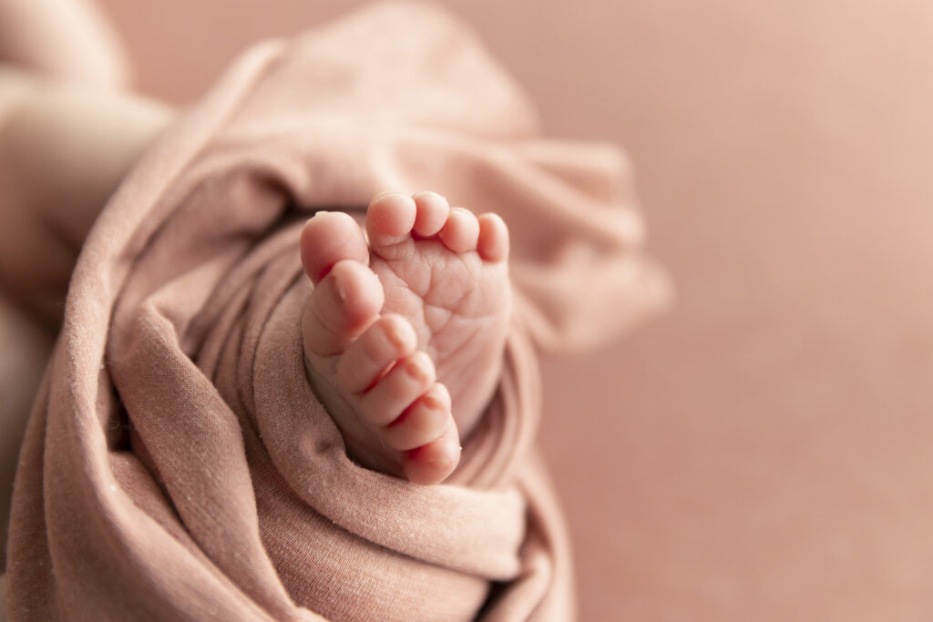 Newborn photographer