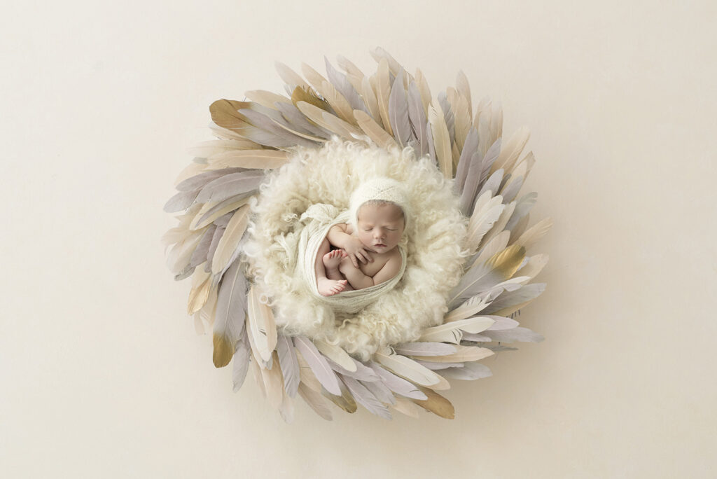 Newborn Photographer