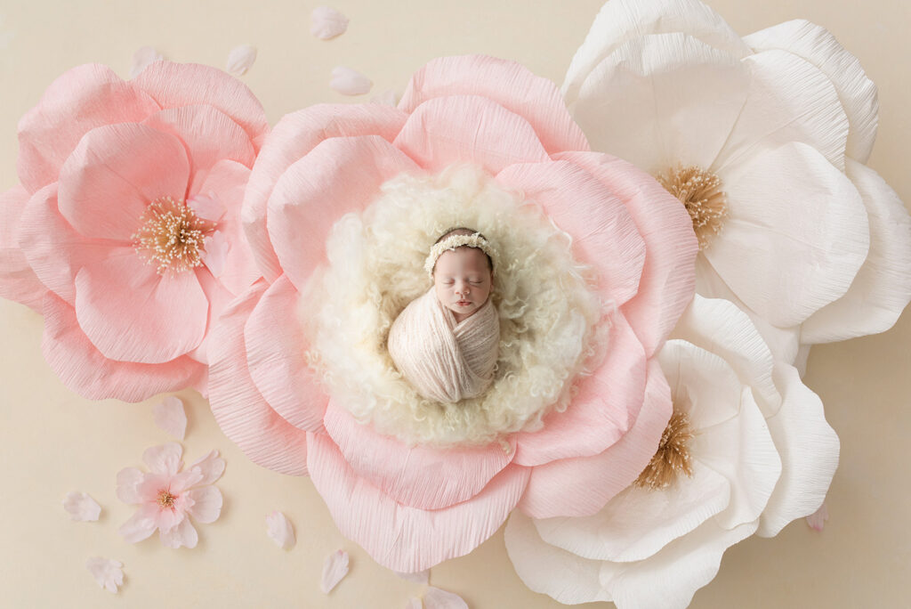 Newborn Studio Brisbane