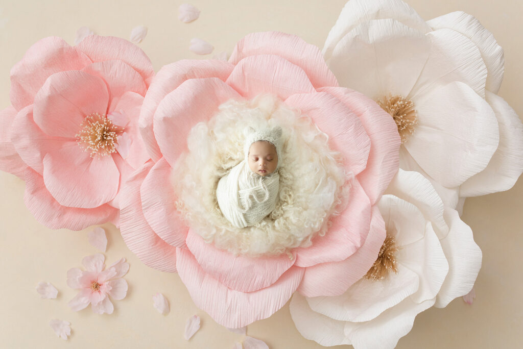 Newborn Photographer