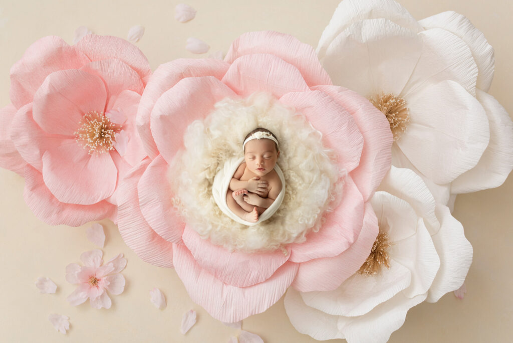 Newborn Studio Photographer