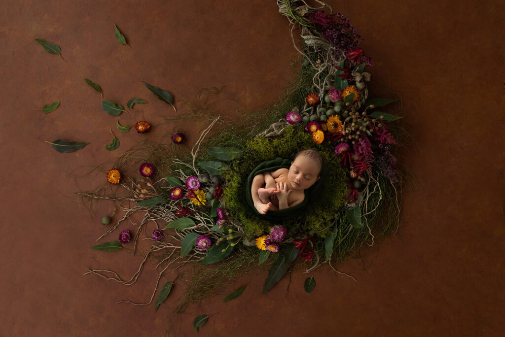 Newborn Studio Photographer