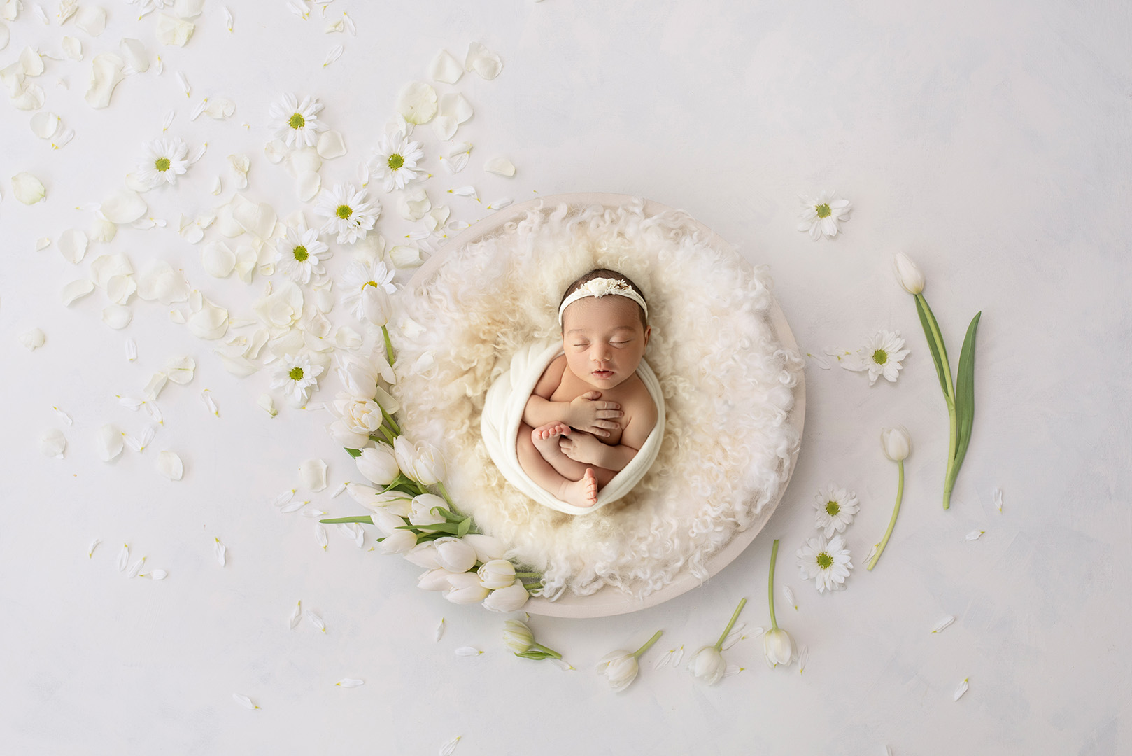 Newborn Studio Photographer
