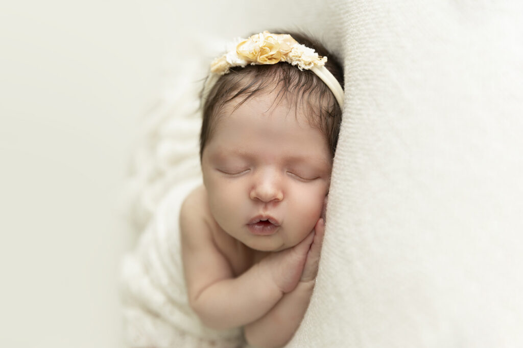 North Brisbane Photographer