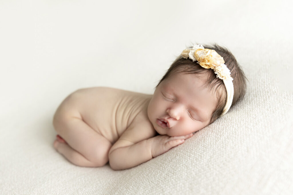 North Brisbane Photographer
