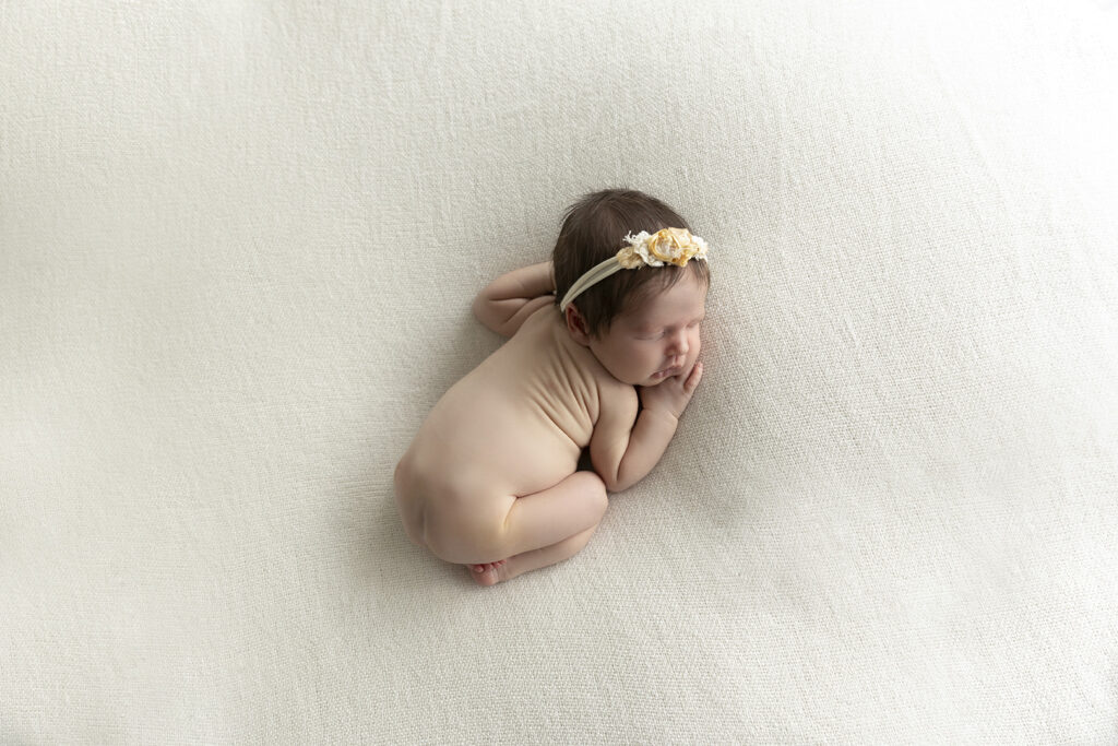 North Brisbane Photographer