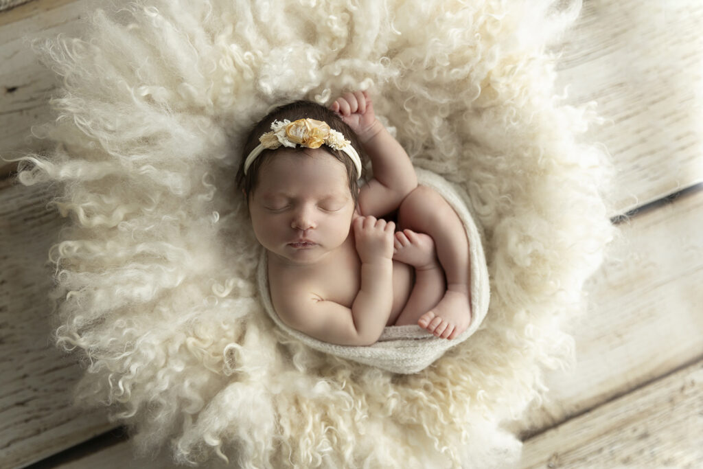North Brisbane Photographer